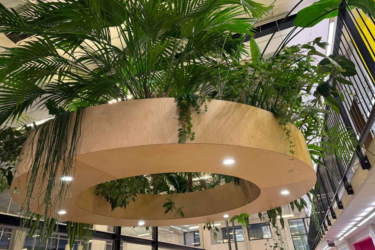 Beplanting boven de entree bij architectenbureau MVRDV in Rotterdam