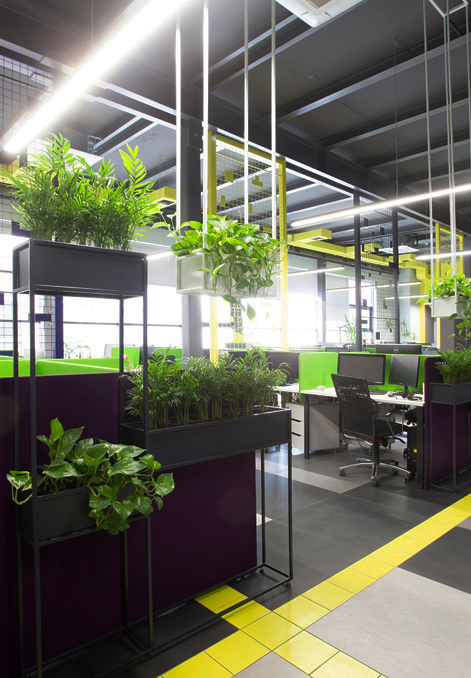 Strategisch ontworpen beplantingsplan voor een duurzame en gezonde werkomgeving