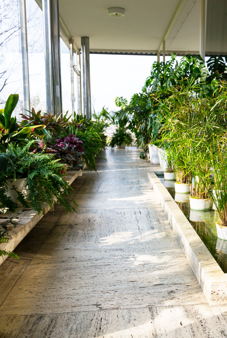 Installatieproces van een op maat gemaakte binnen planten kas, uitgevoerd door experts voor optimale esthetiek en functionaliteit