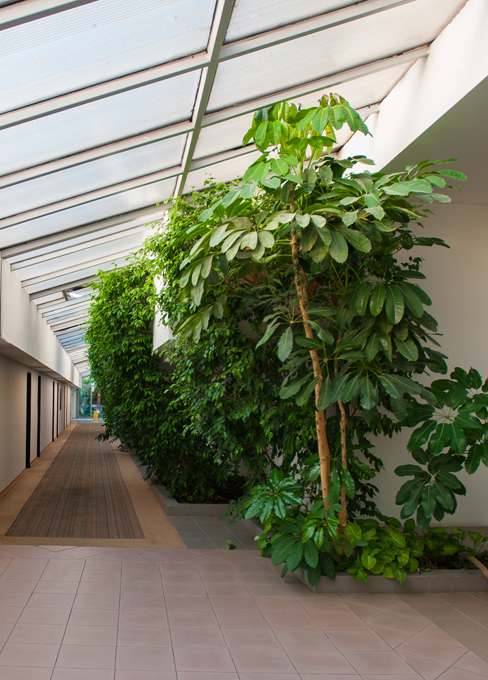 Op maat gemaakte planten kas binnen, die esthetiek combineert met luchtzuivering voor een gezonde en productieve werkomgeving