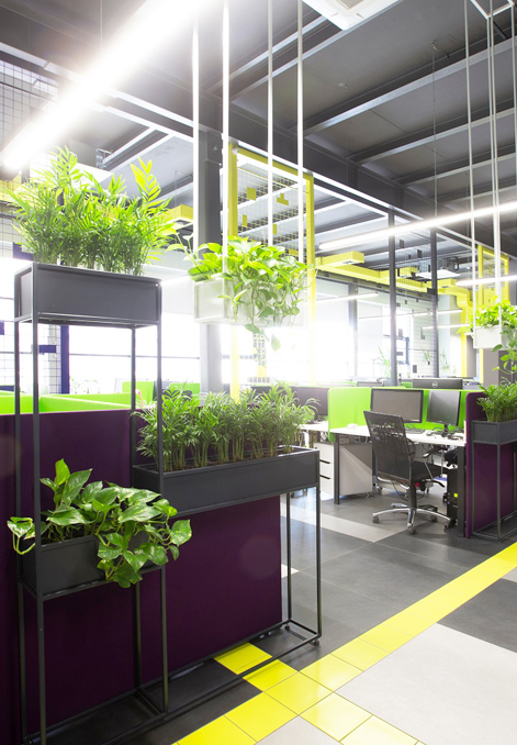 Exotische kantoorplanten die zorgen voor een unieke en stijlvolle uitstraling in kantoorruimtes