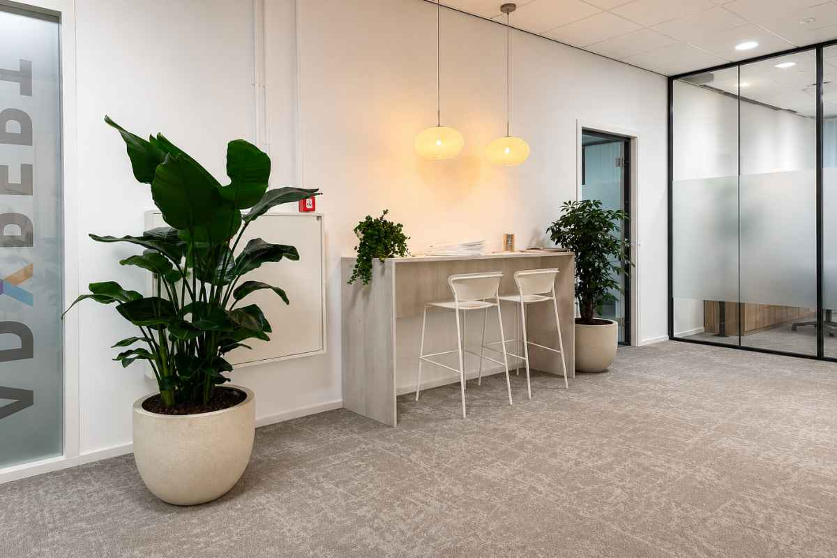 Kantoorplanten op hydrocultuur bij ADXpert in Ridderkerk