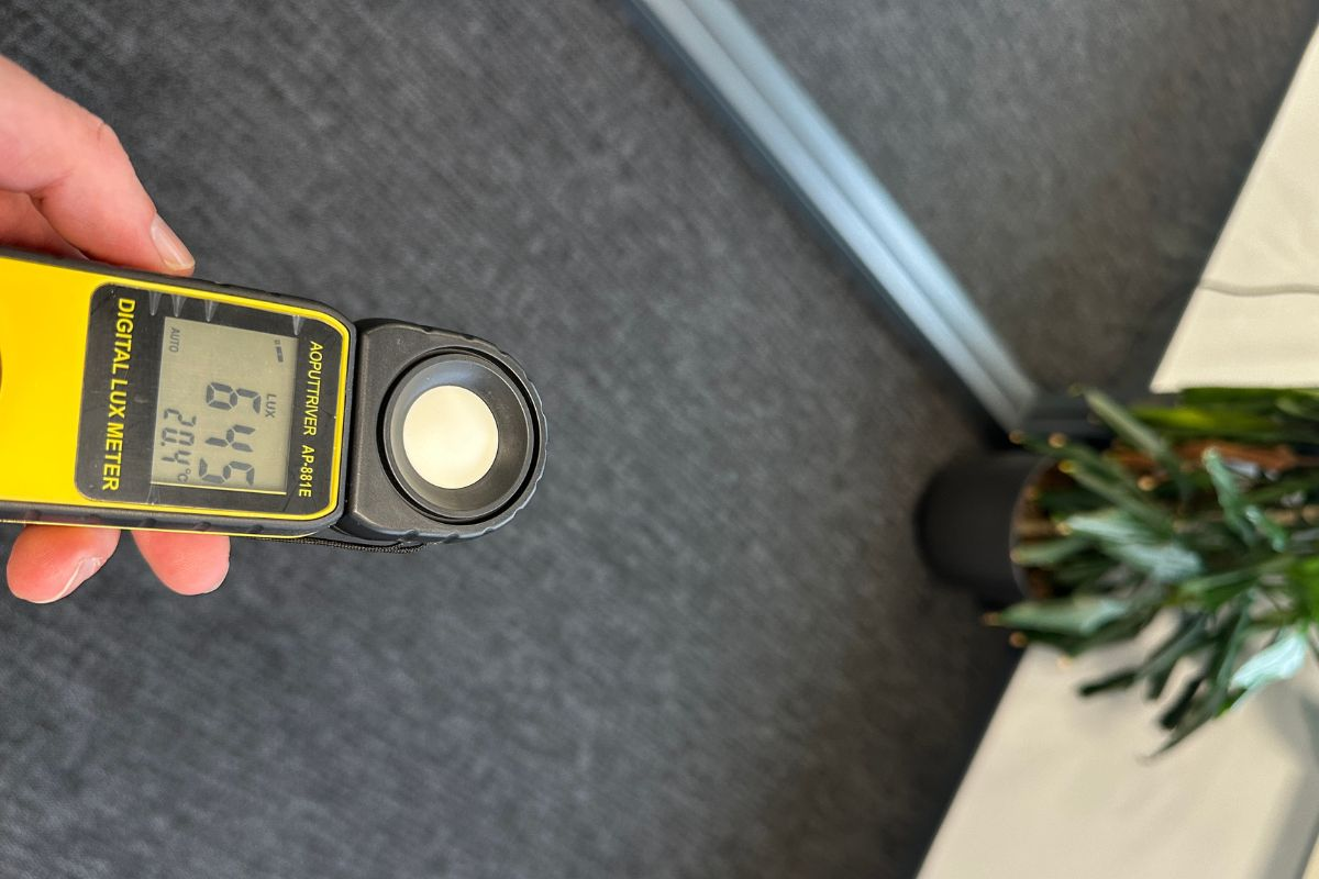 Lichtmeter toont 645 lux naast een plant tijdens een klimaatscan