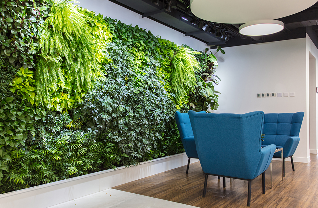 EasyCulti zorgt voor doorlopend onderhoud van groene projecten, inclusief plantgezondheidsmonitoring en regelmatige verzorging