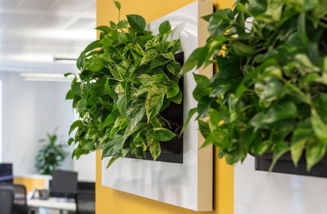 Planten schilderij aan een kantoormuur