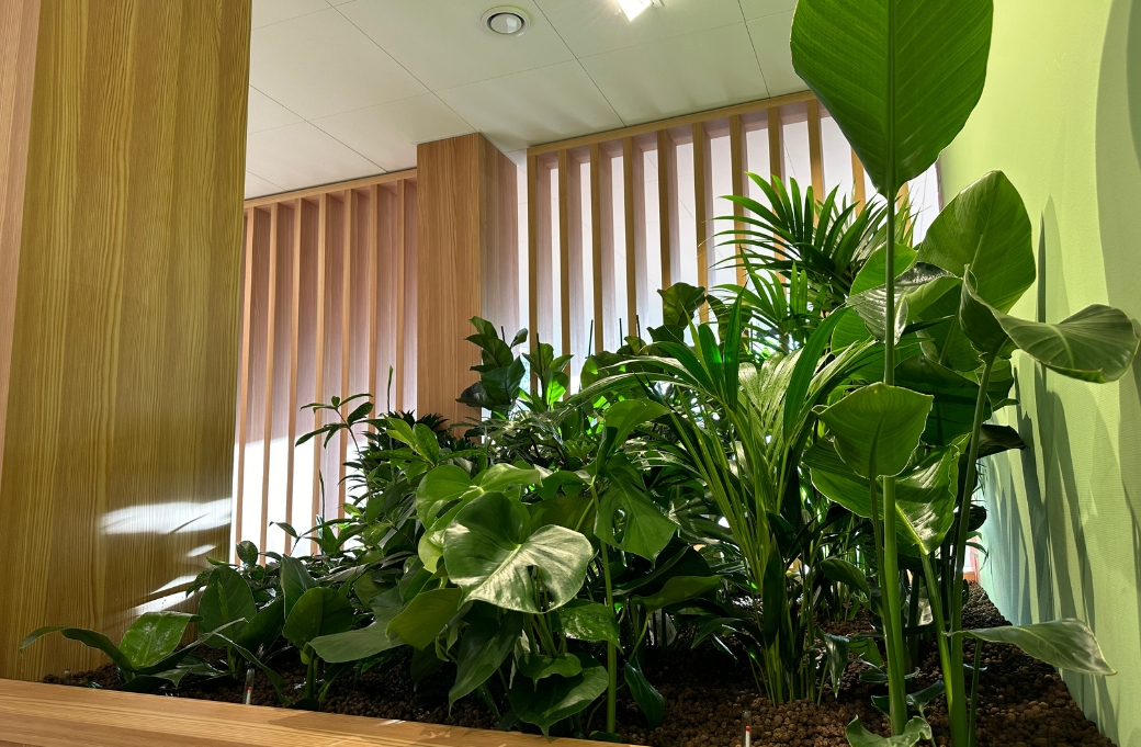 Plantenbak woongroep