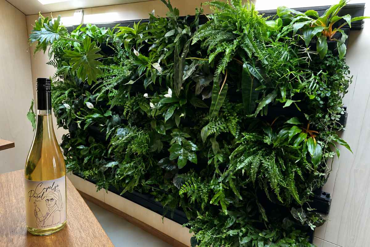 Plantenwand in het clubhuis van wijnproducent Sjatoo 010 in Capelle aan den IJssel