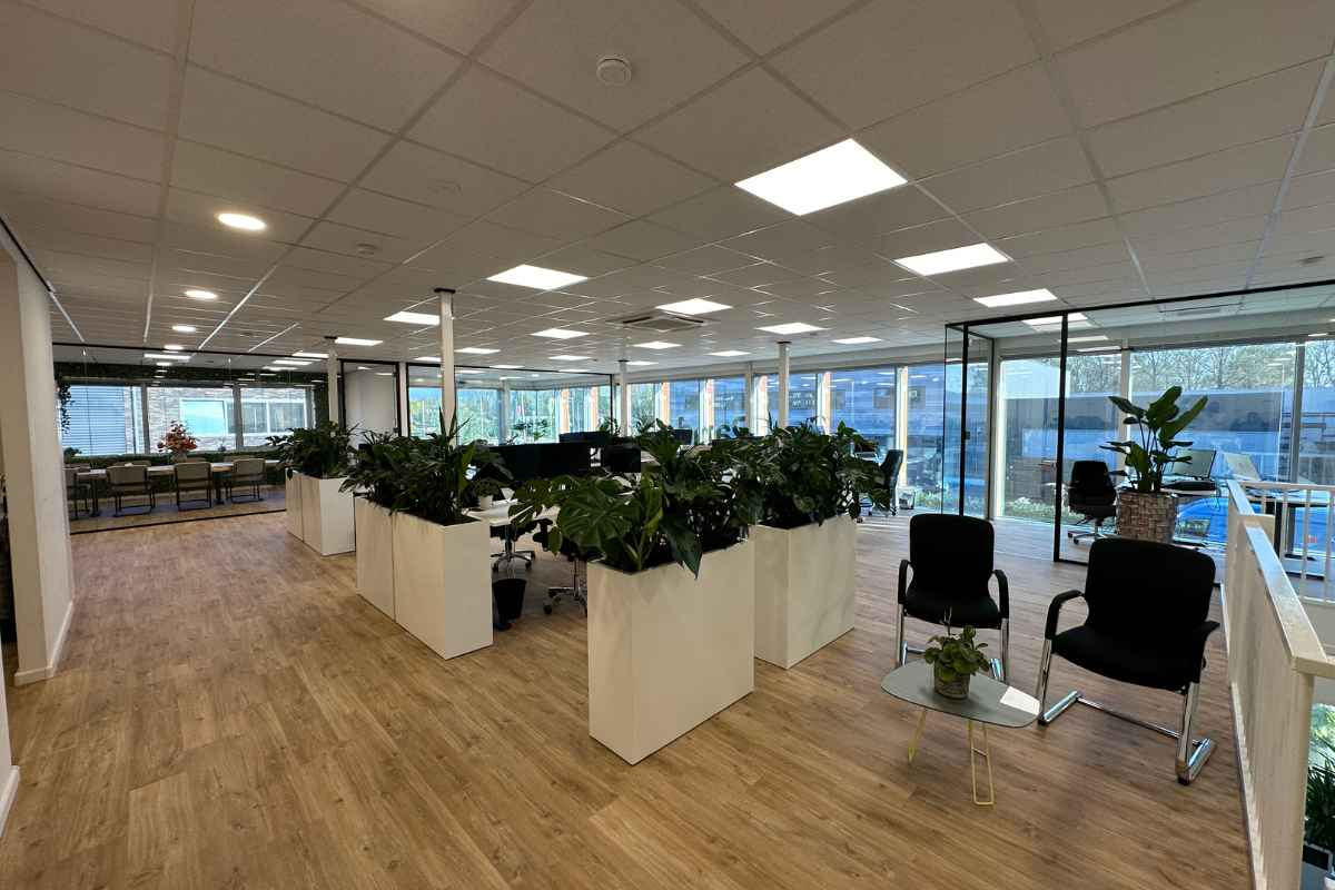Roomdivider met beplanting Roomdivider met beplanting in de kantoortuin bij Lavie