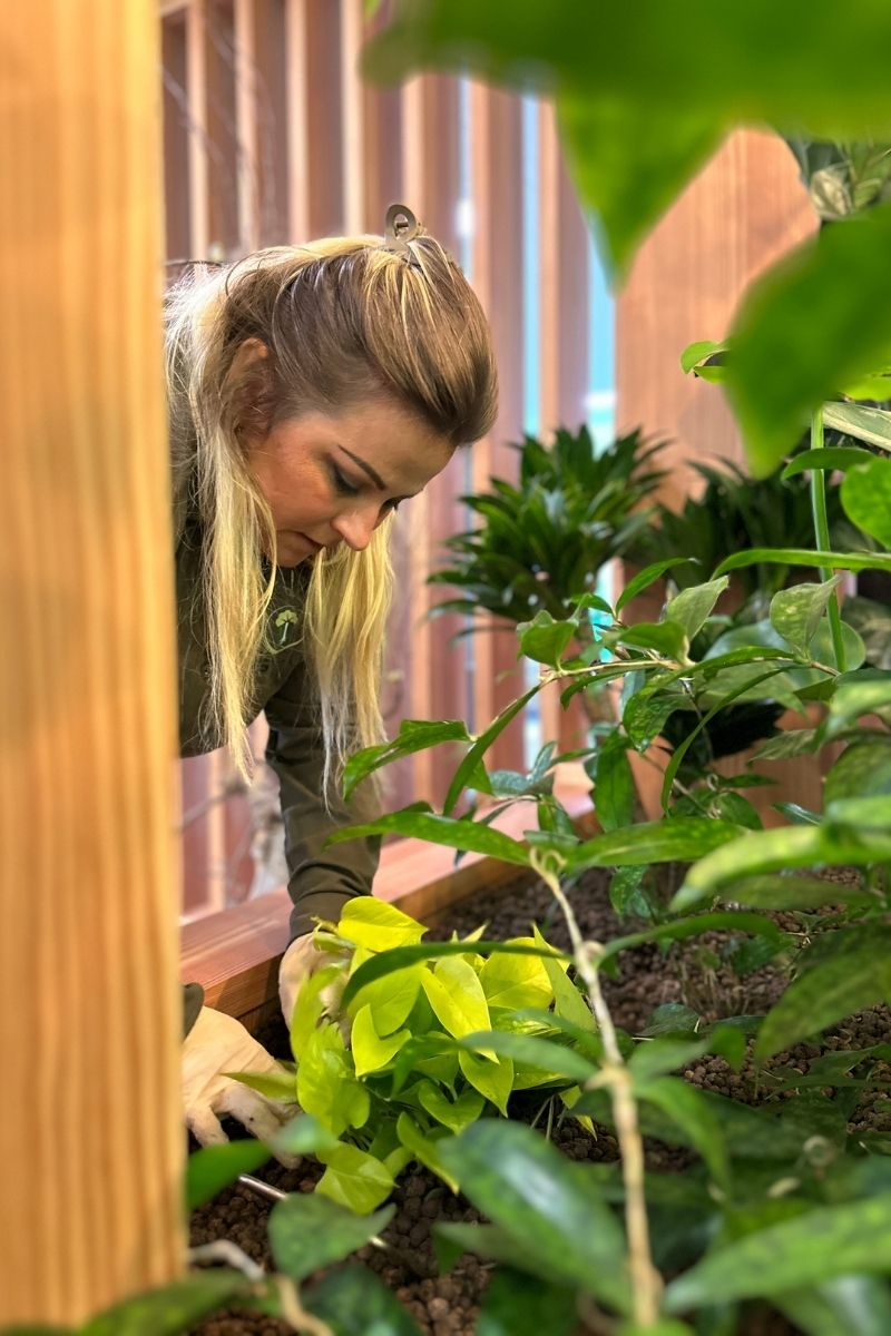 Snizhana van EasyCulti verzorgt hydrocultuurplanten tijdens een servicebezoek