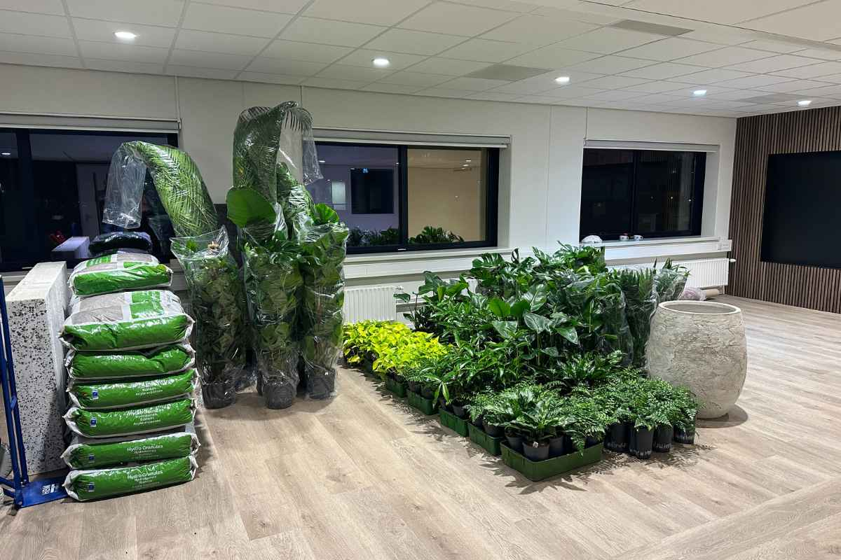 Plaatsen van kantoorbeplanting EasyCulti plaatst de kantoorbeplanting beplanting op locatie